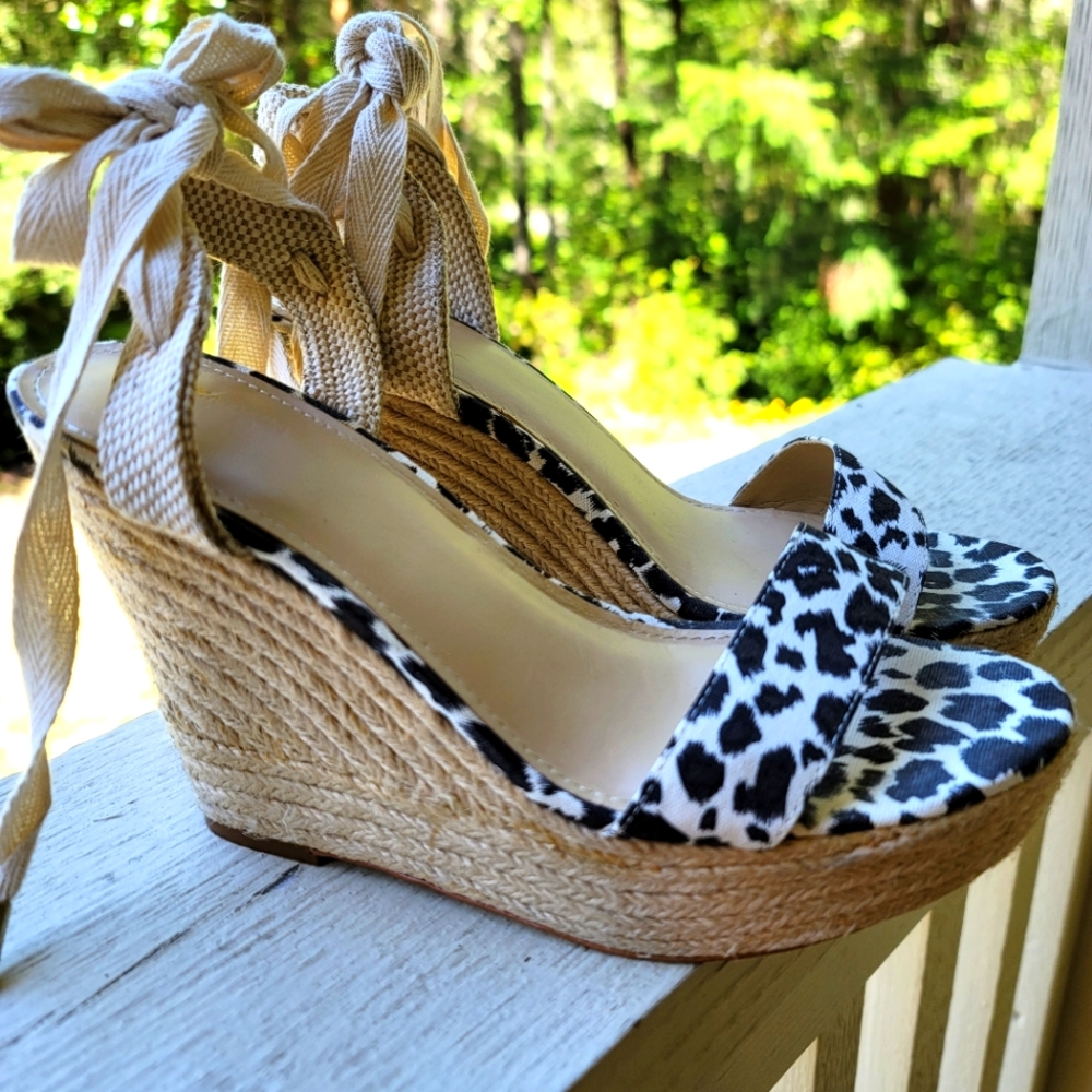 Cheetah wedge